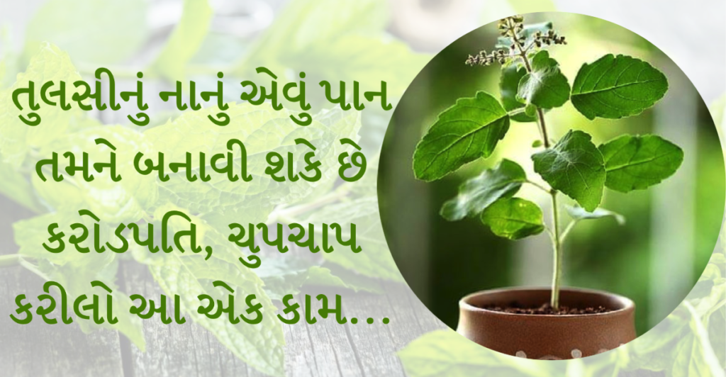 tulsi pan