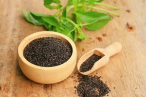 benefits of sabja seeds 1